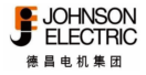 Dingchen Motor Group