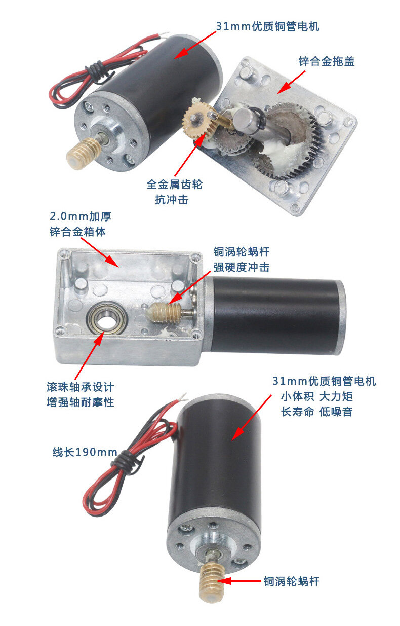 5840-31ZY蜗轮蜗杆减速电机（双出轴） - 详情 5