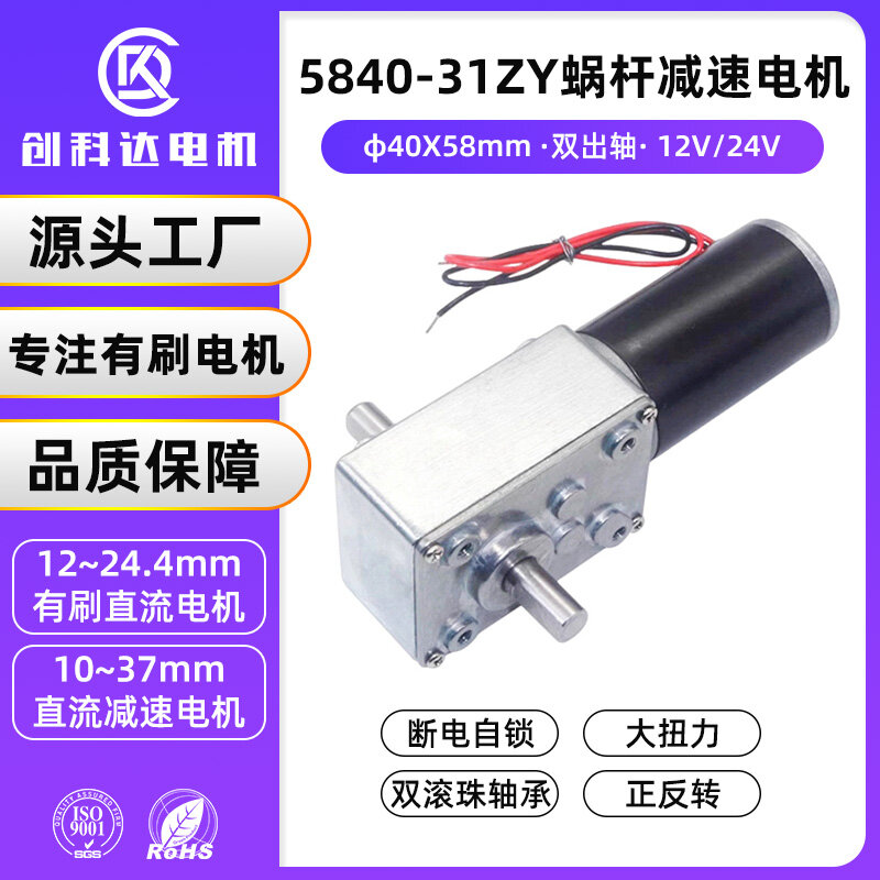 5840-31ZY蜗轮蜗杆减速电机（双出轴） - 详情 1