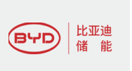 Strategic partner