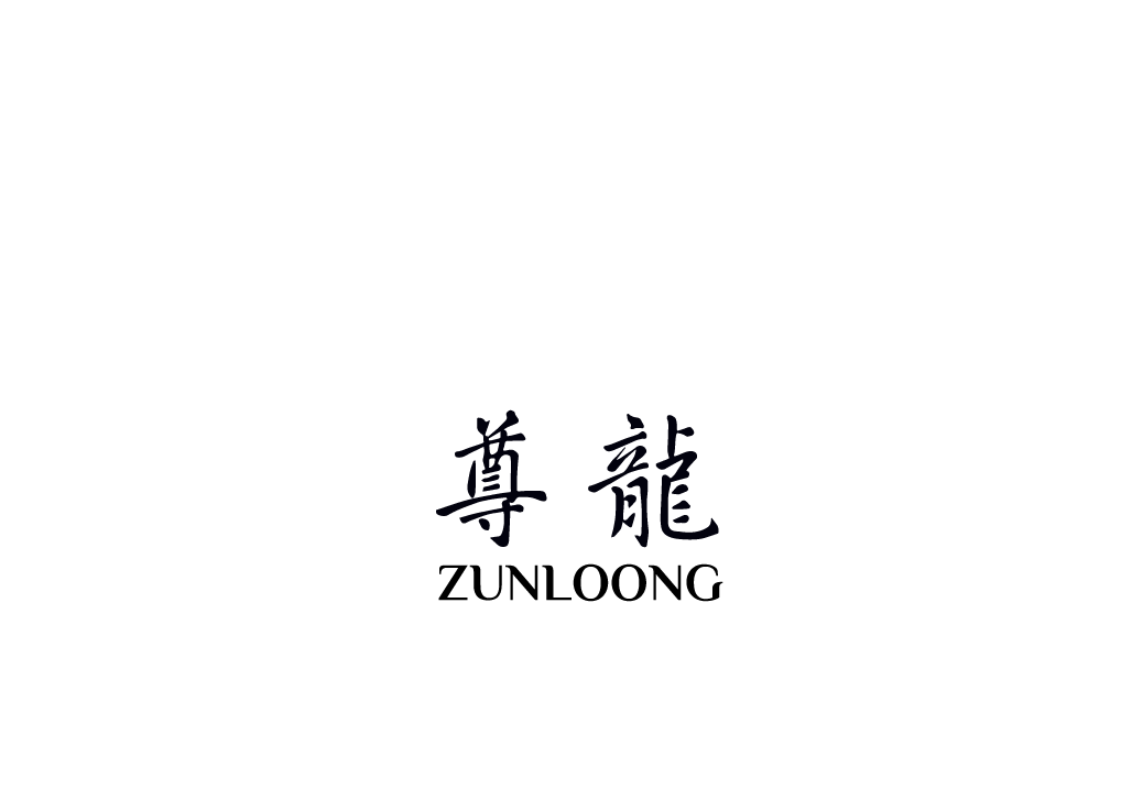 尊龙 ZUNLOONG