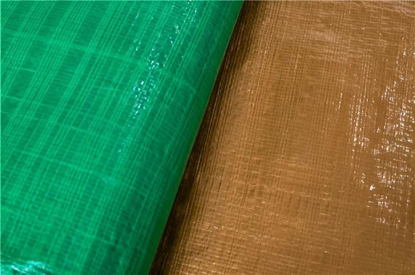 Heili Gold Green Cloth