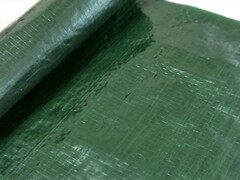 Haili Green Cloth
