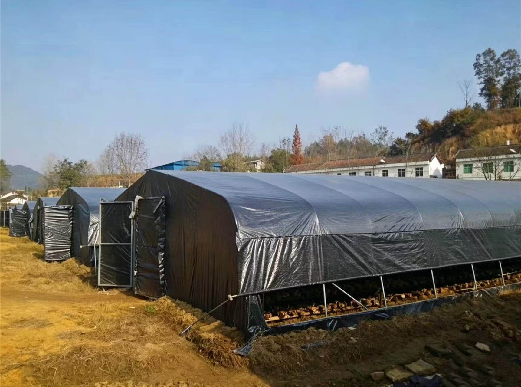 Li, a vegetable grower from Qingyuan, Guangdong — 10 acres of greenhouse cooling and income-increasing project