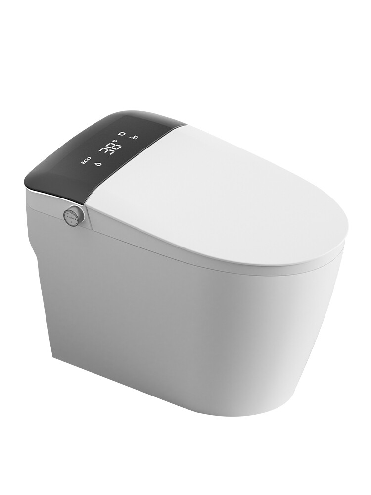 ET-9009 Water Saving Dual Flush Smart Toilet, Eco Siphonic Automatic Bidet