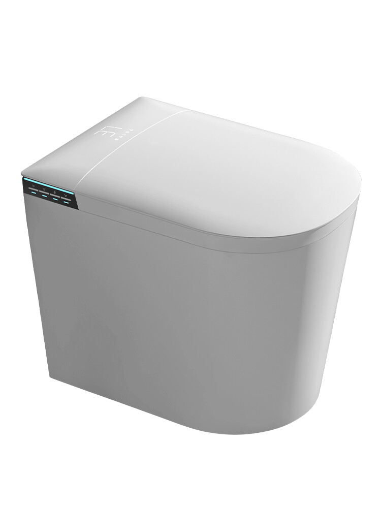 ET-9013 Matte Black Smart Toilet, Modern Industrial One Piece Bidet Toilet