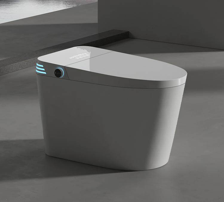 ET-5002 Economy In-tank Smart Toilet with Heated Seat and Night Light