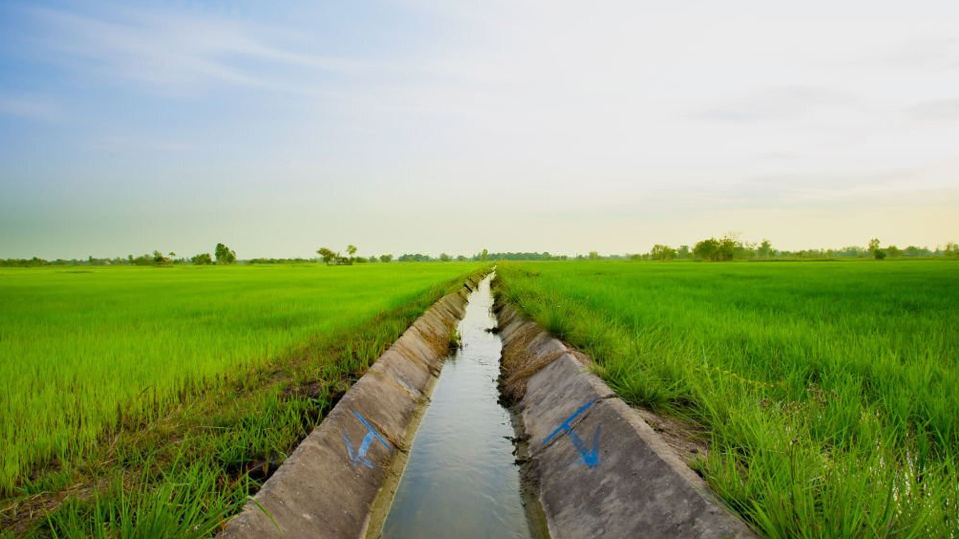 Irrigation Canals