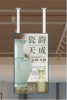 OLED Double-Sided Hanging Display
