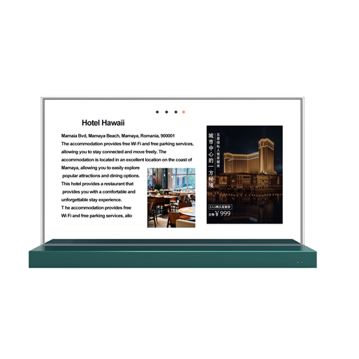 OLED Transparent Display (Embedded 30")