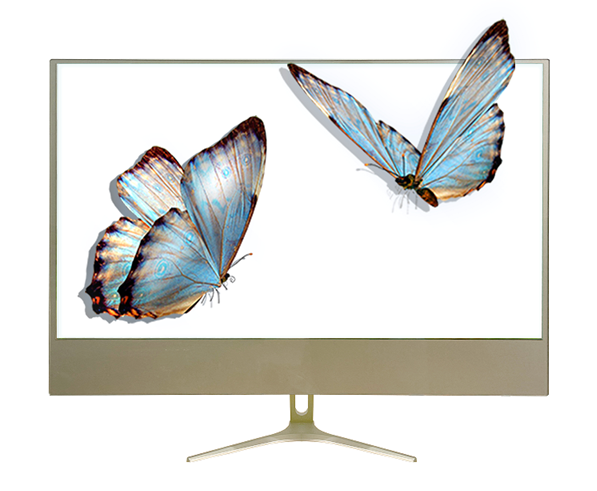 OLED Transparent Display (Wall-Mount Slim)