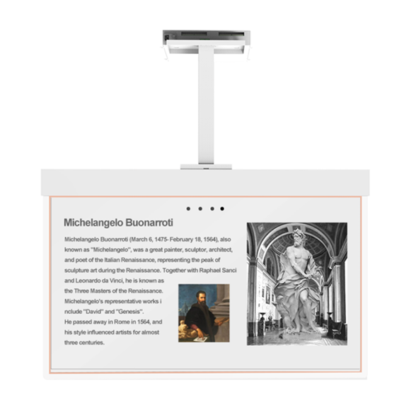OLED Transparent Hanging Display
