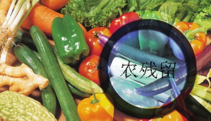 Food Safety Testing