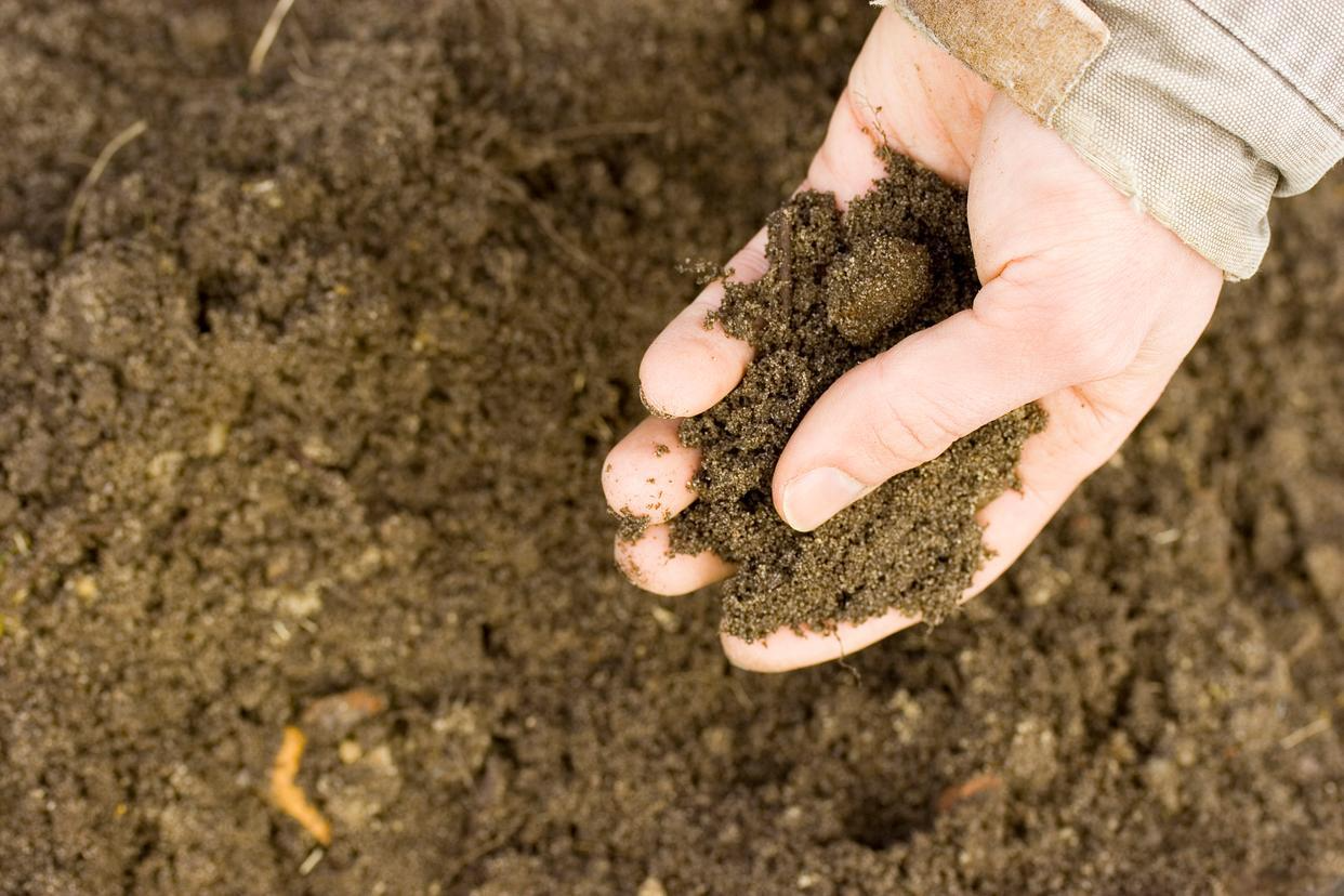 Determination of Polychlorinated Biphenyls in Soil and Sediment