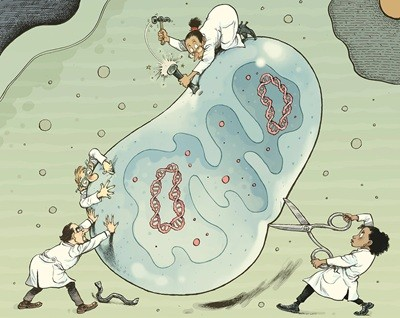 Gene Editing Technology