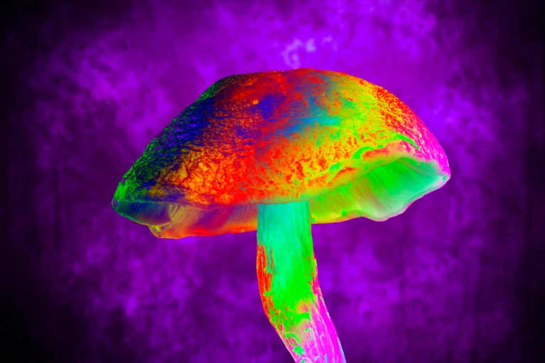 Fluorescence Imaging