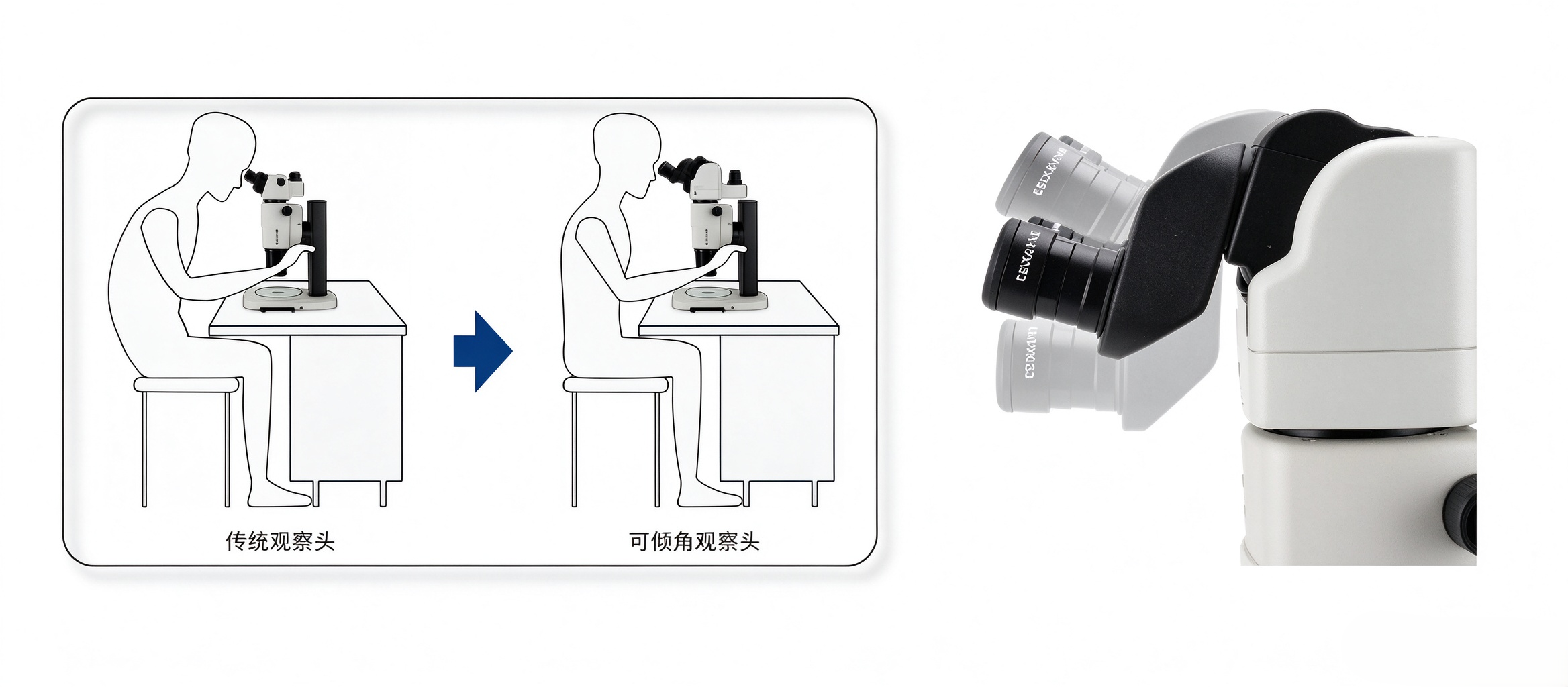 Tiltable Observation Head