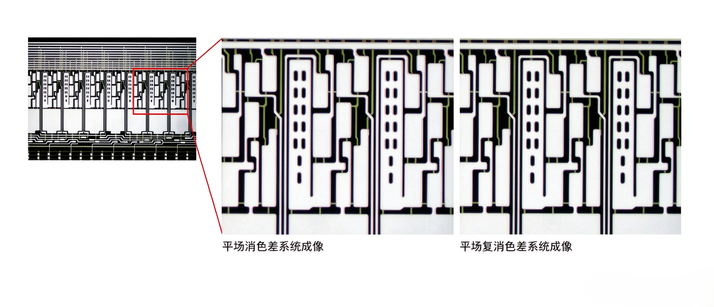 Plan Apochromatic Objective