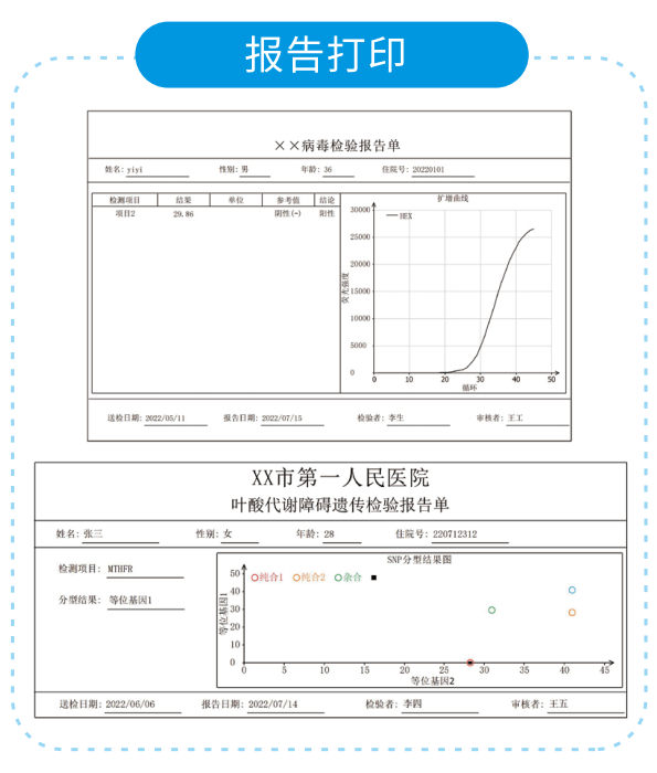 Report Printing Sample