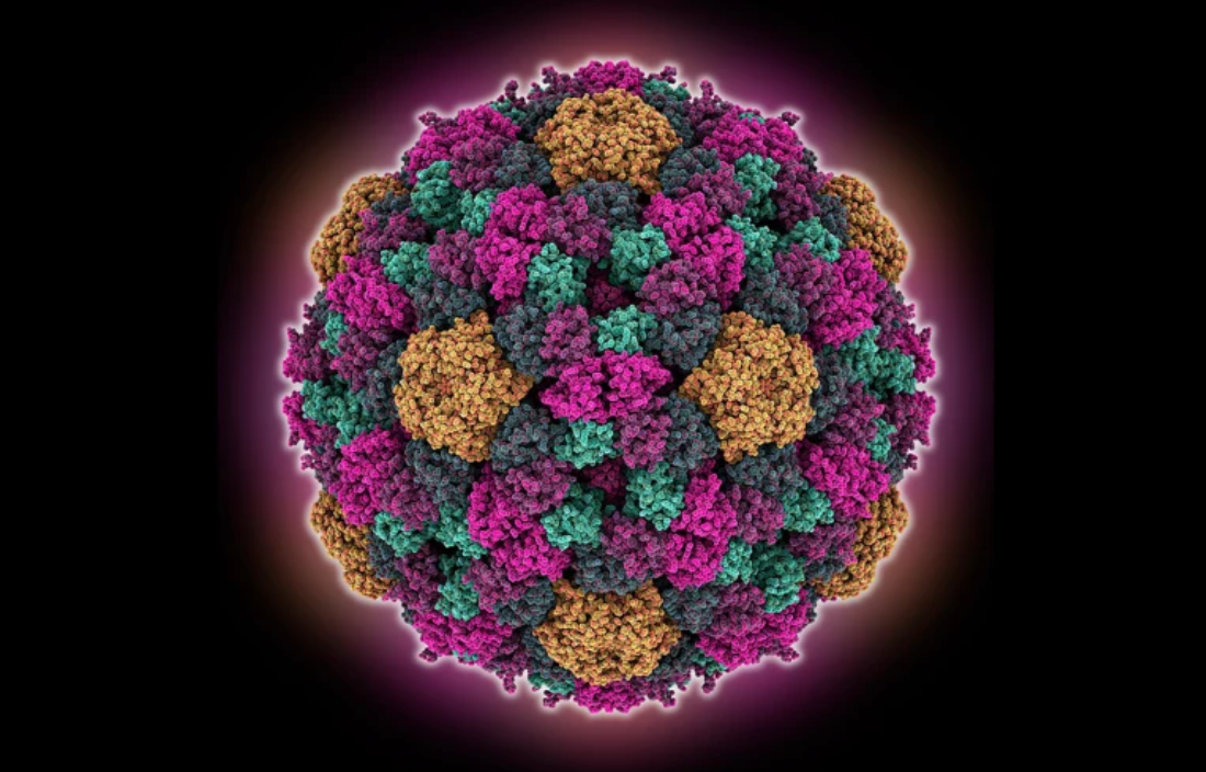 Molecular Structure Analysis