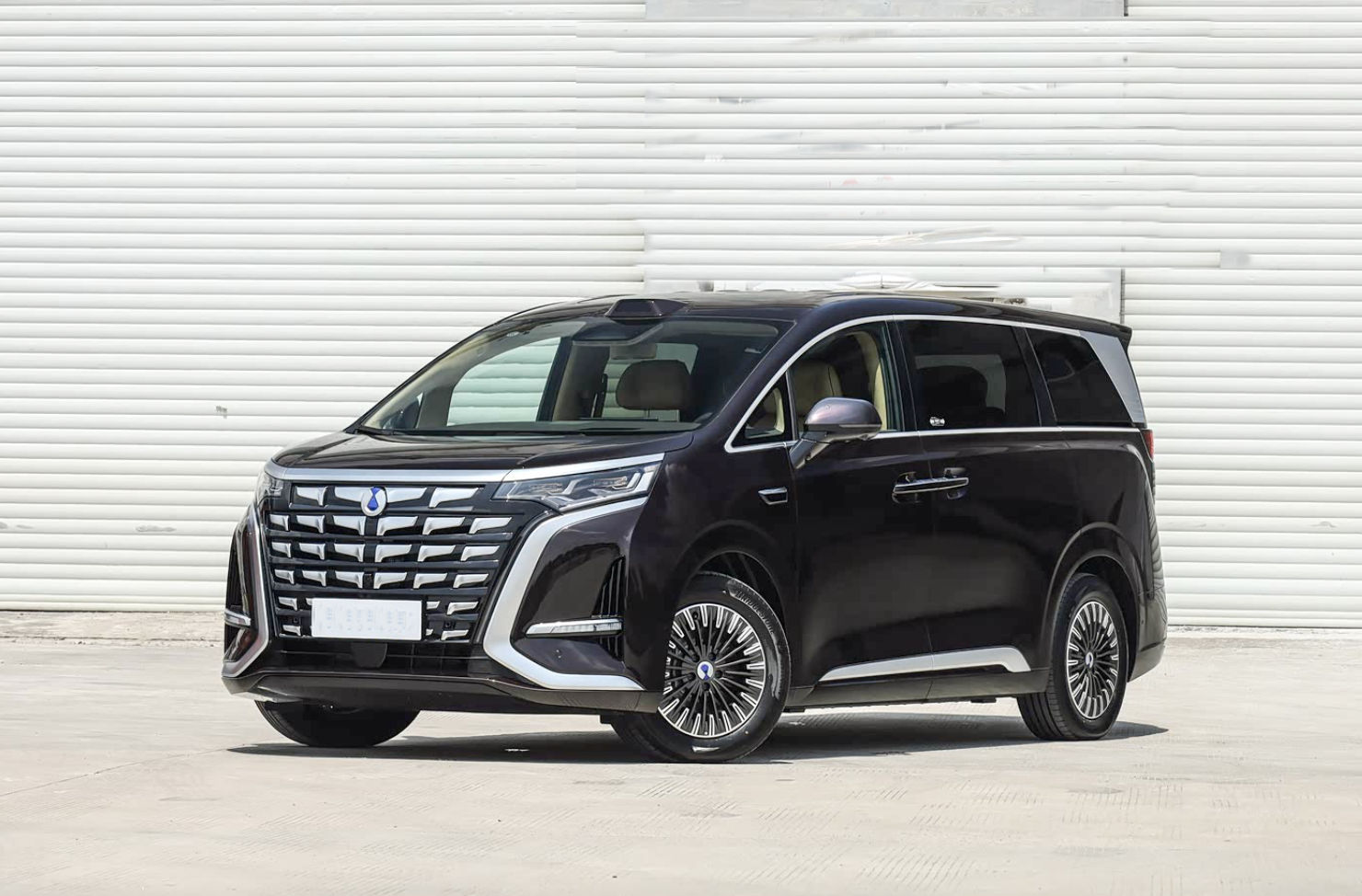 BYD D9 EV