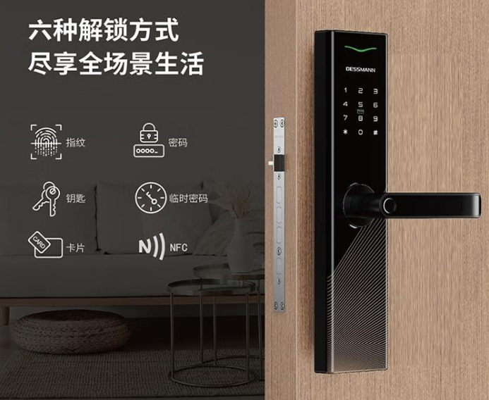 Desiman 6-in-1 Smart Lock