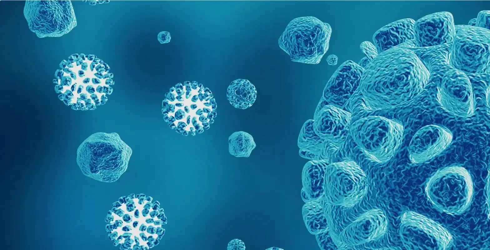 What are exosomes?