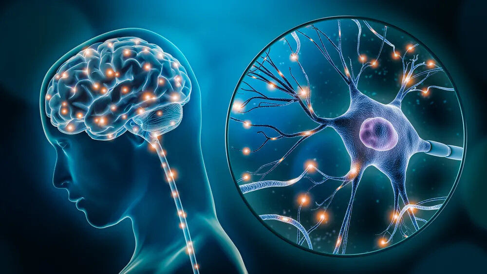 Nasal Drop Exosome Therapy Significantly Enhances Cognitive Function