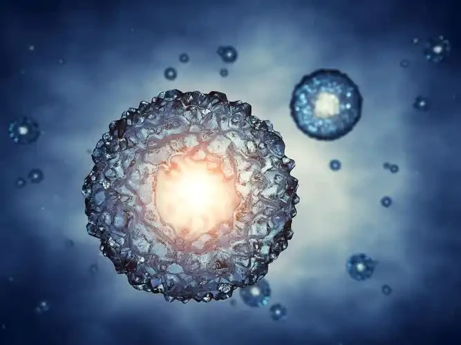 Engineered exosomes