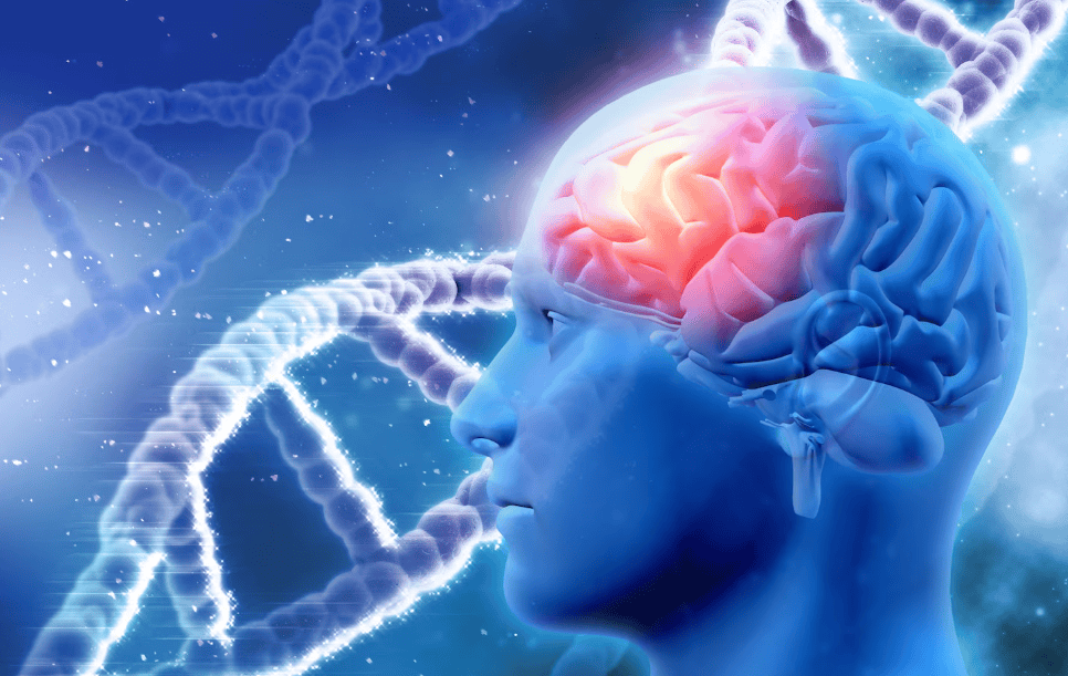 Research shows engineered exosomes enhance blood-brain barrier penetration and improve Alzheimer's disease through multiple pathways