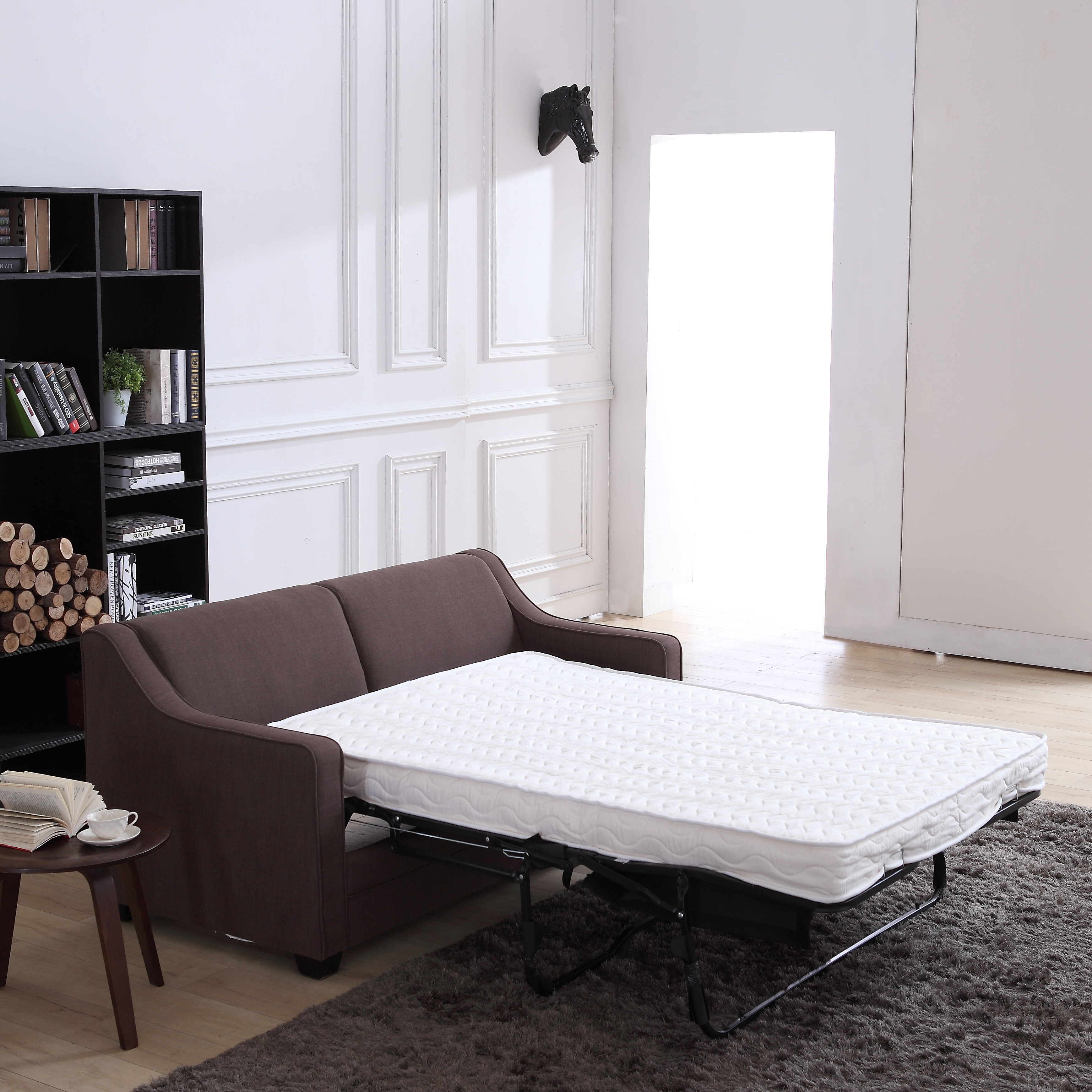 Modern 2-Seater Pull-Out Sleeper Sofa with Mattress
