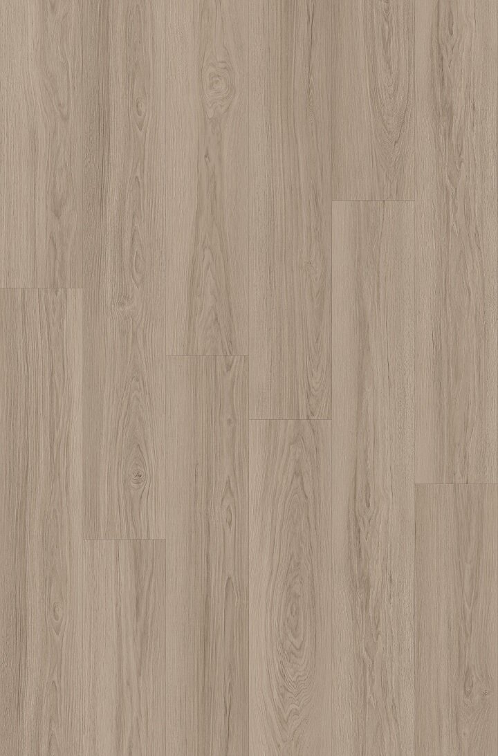 Ash Modern