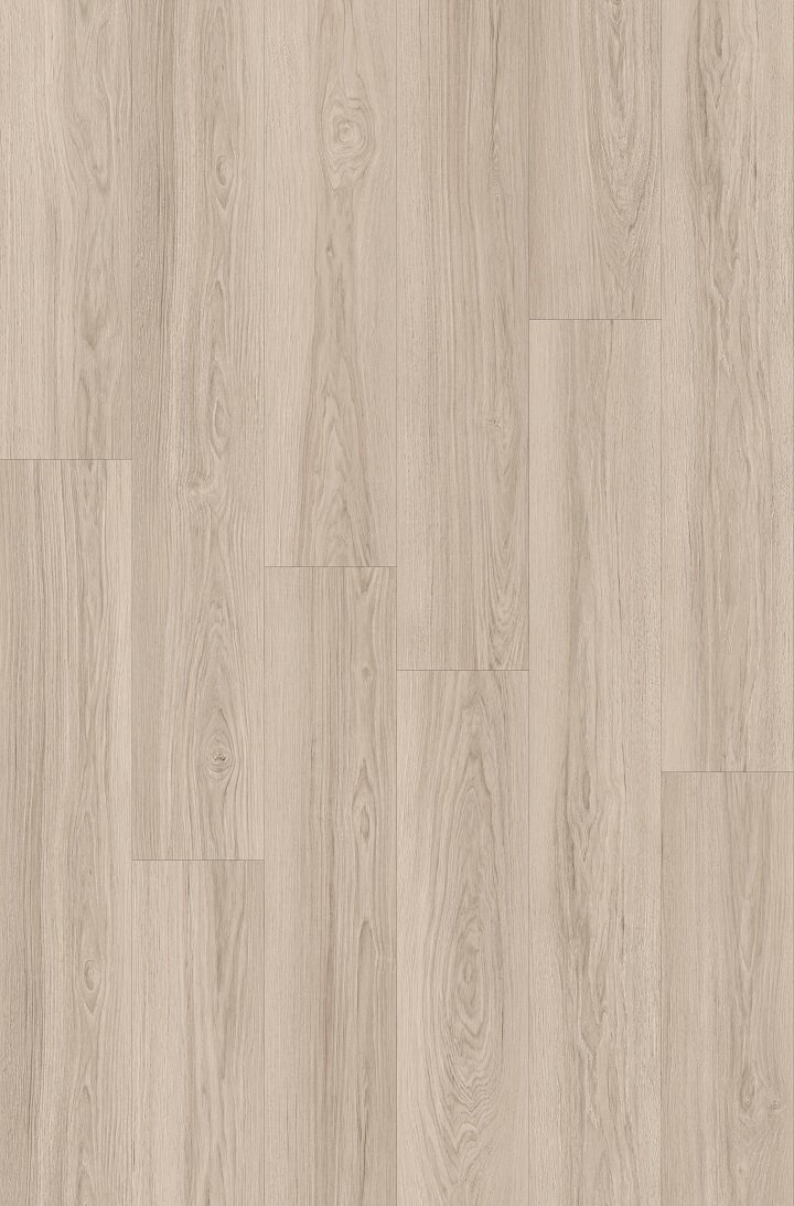 Cherry Elegance
