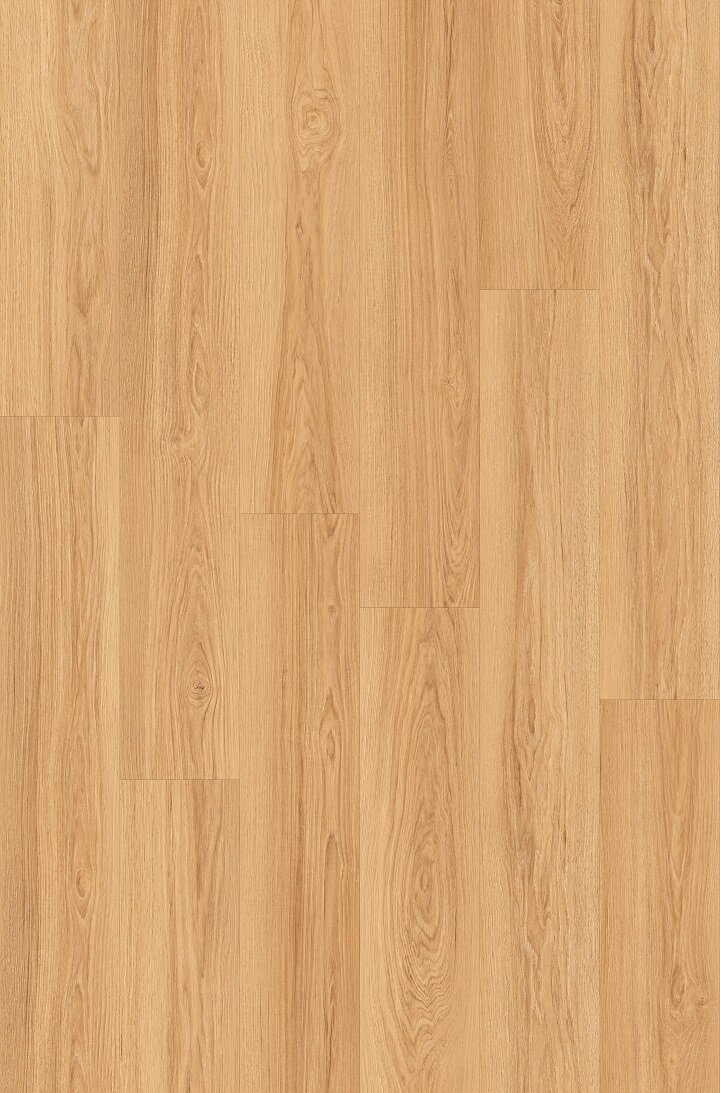 Birch Light