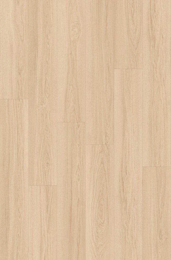 Walnut Premium