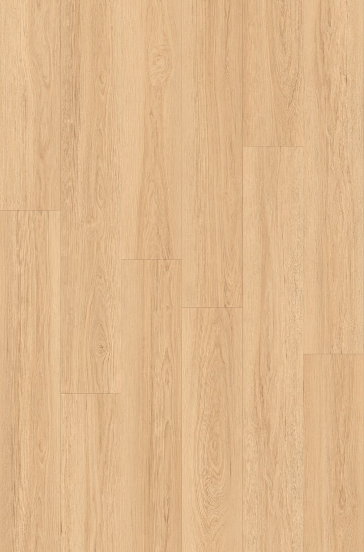 Oak Classic