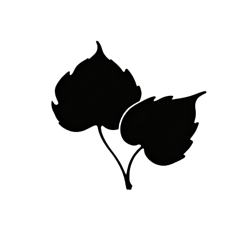 林境智科 Logo