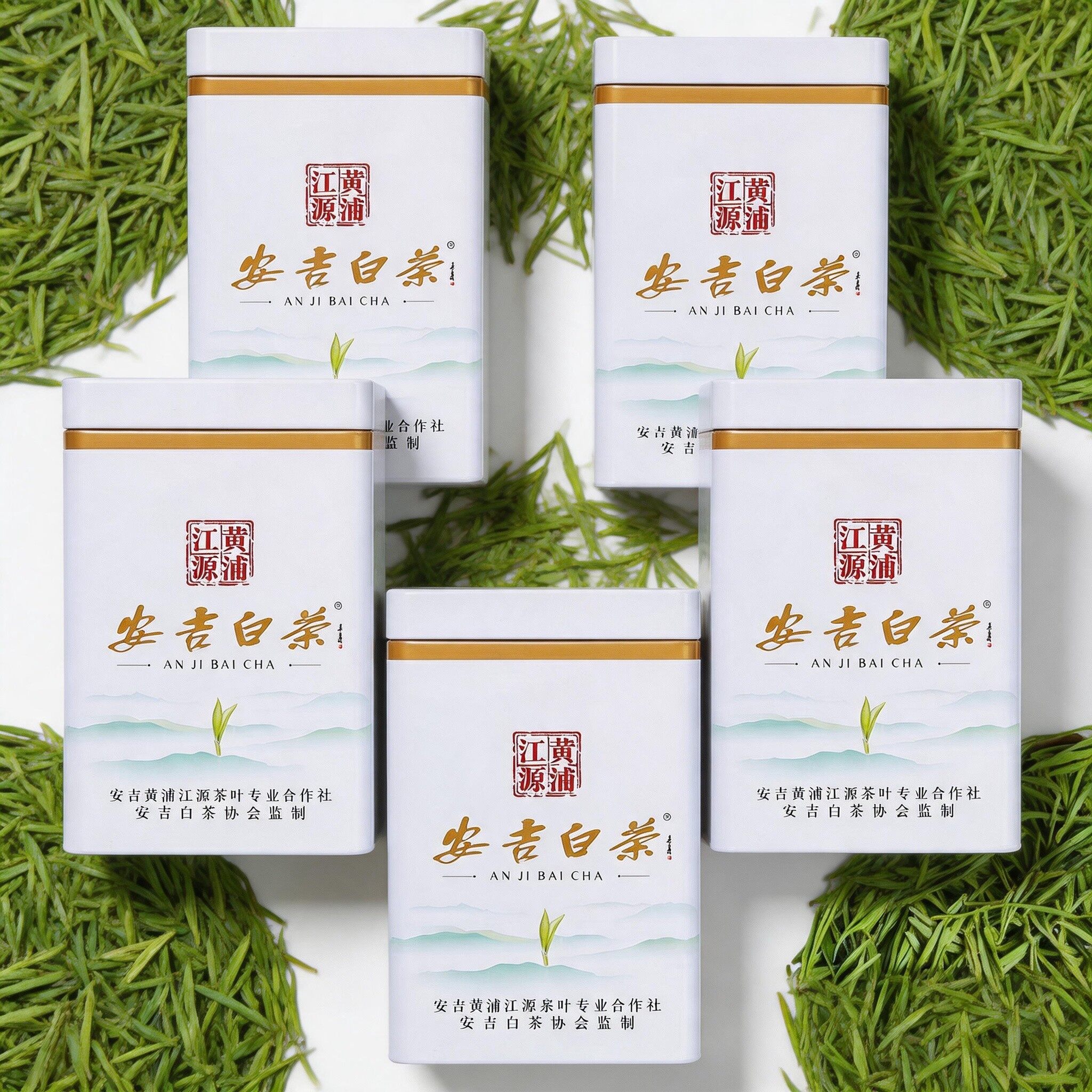 安吉白茶 明前特级 2026年新茶 散装250g