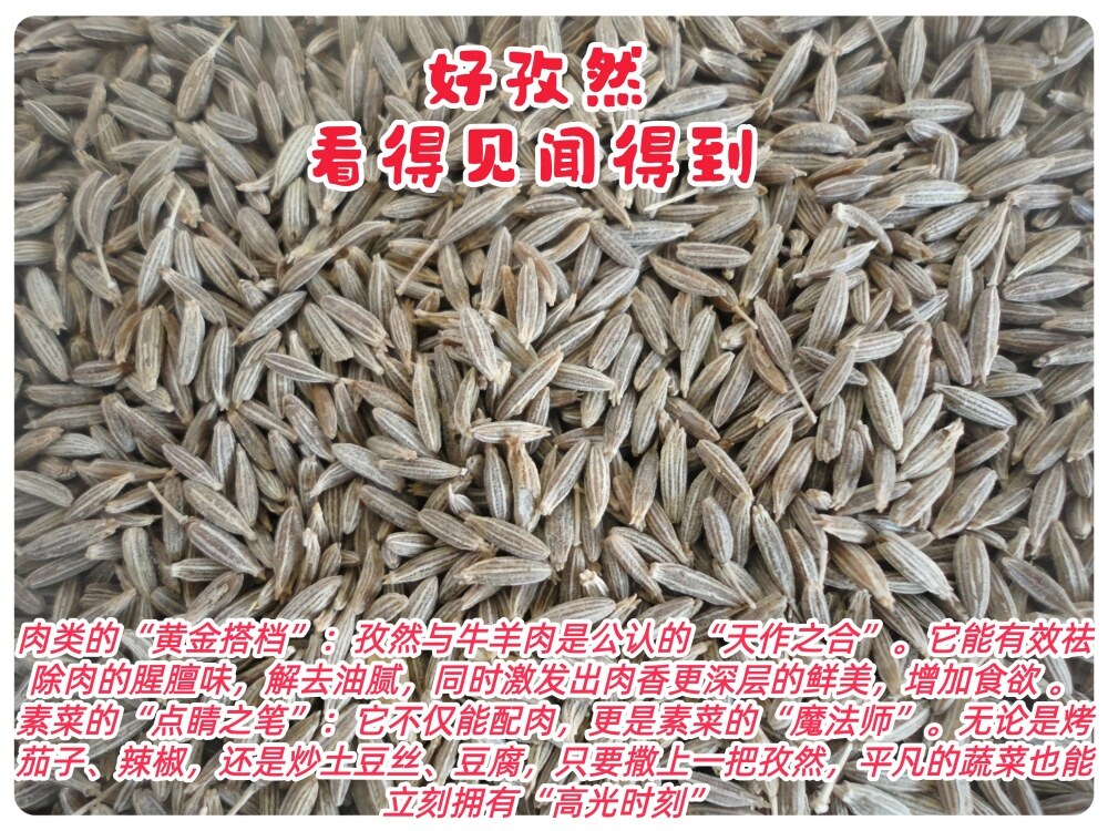 孜然 2