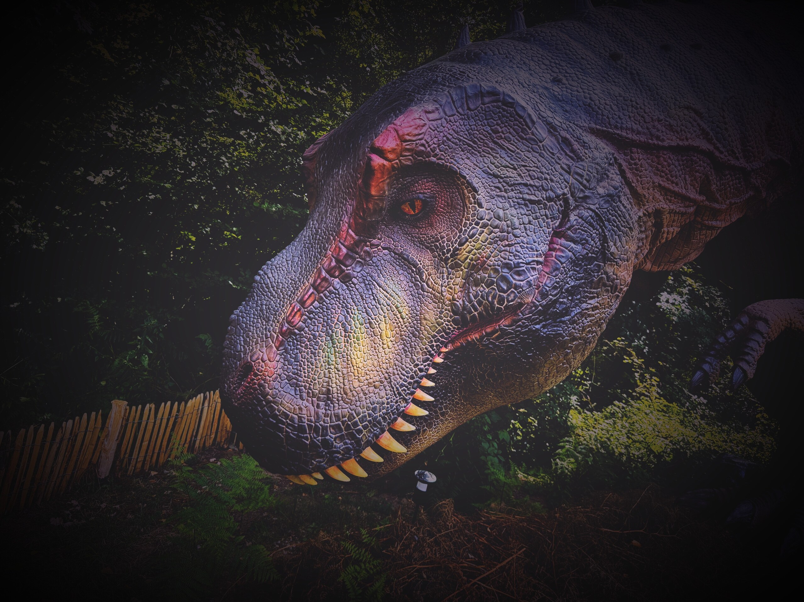 Tyrannosaurus Rex
