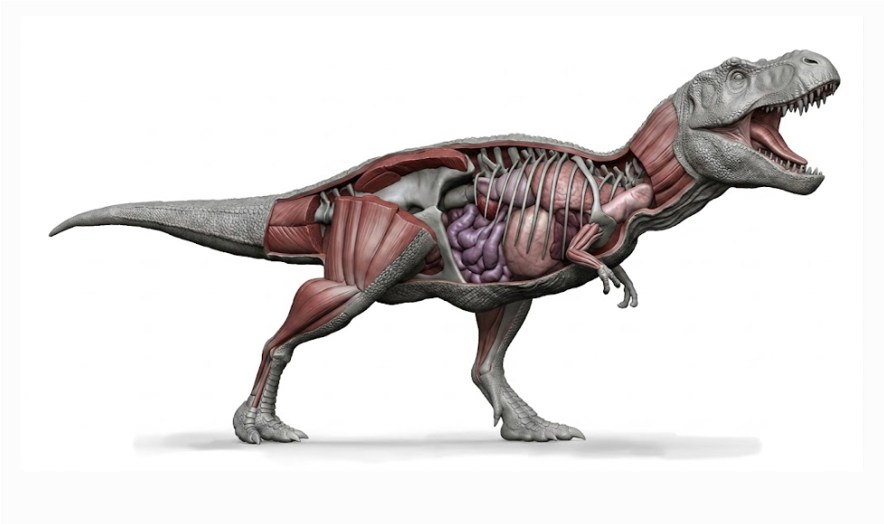 TYRANNOSAURUS REX