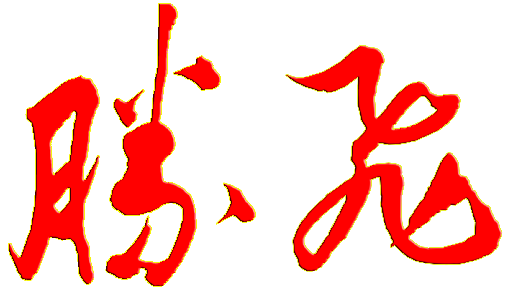 胜飞科技 Logo