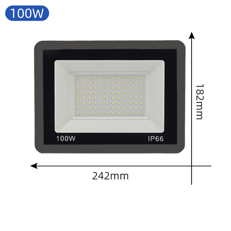 Xiaopingguo 2nd Gen Spotlight - Image 6