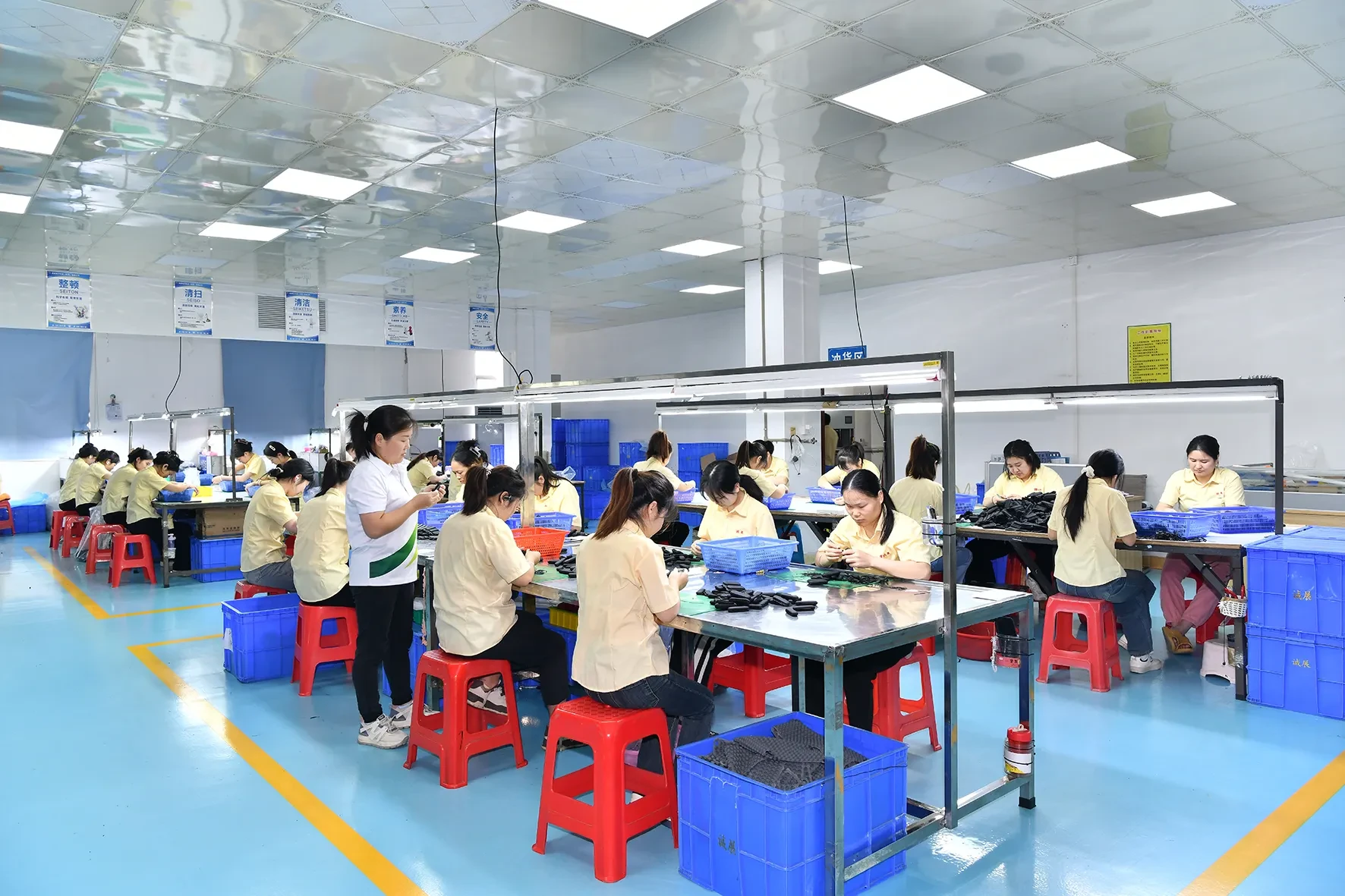 Packaging line with export carton standards