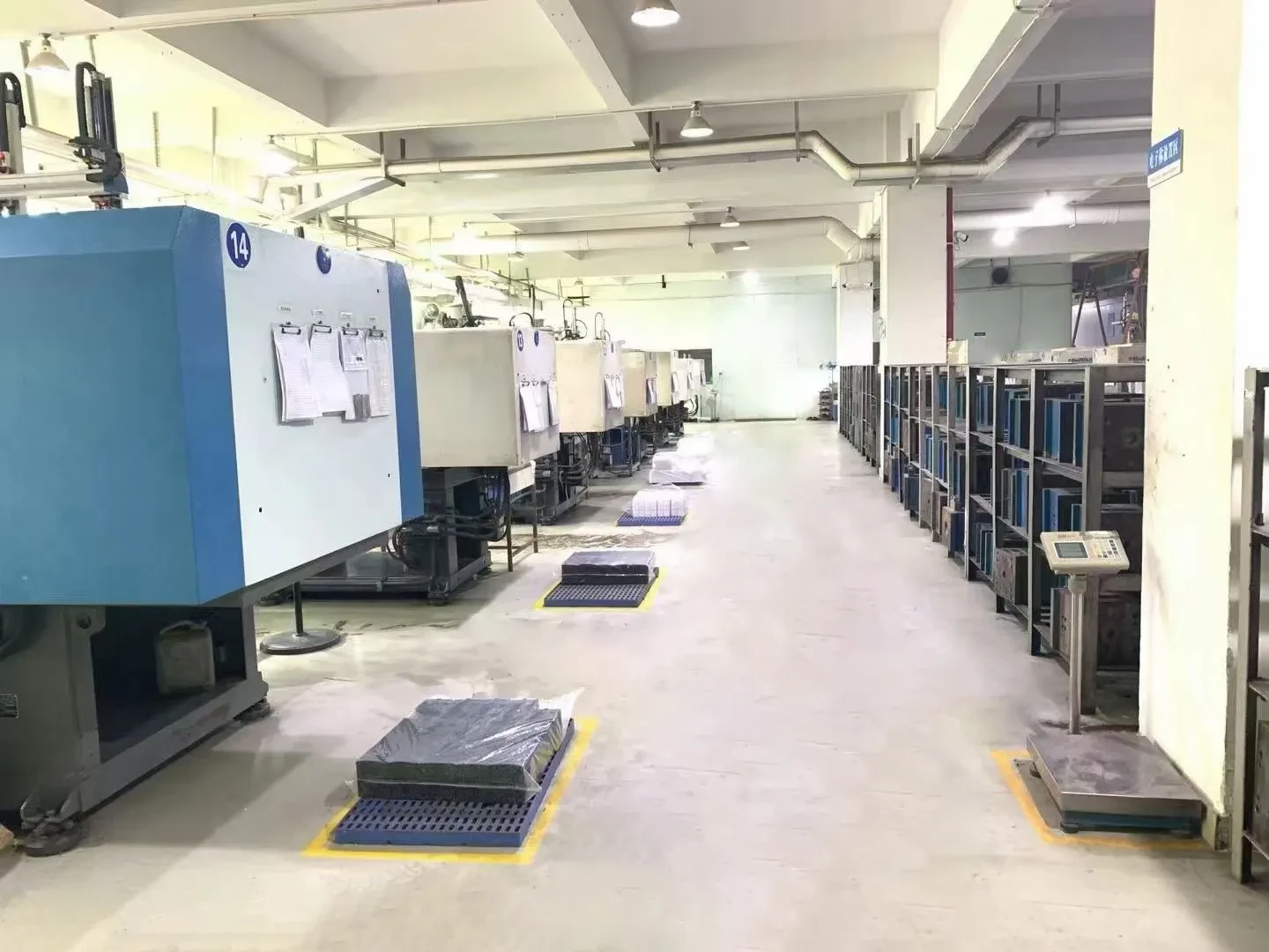 Processing Bases