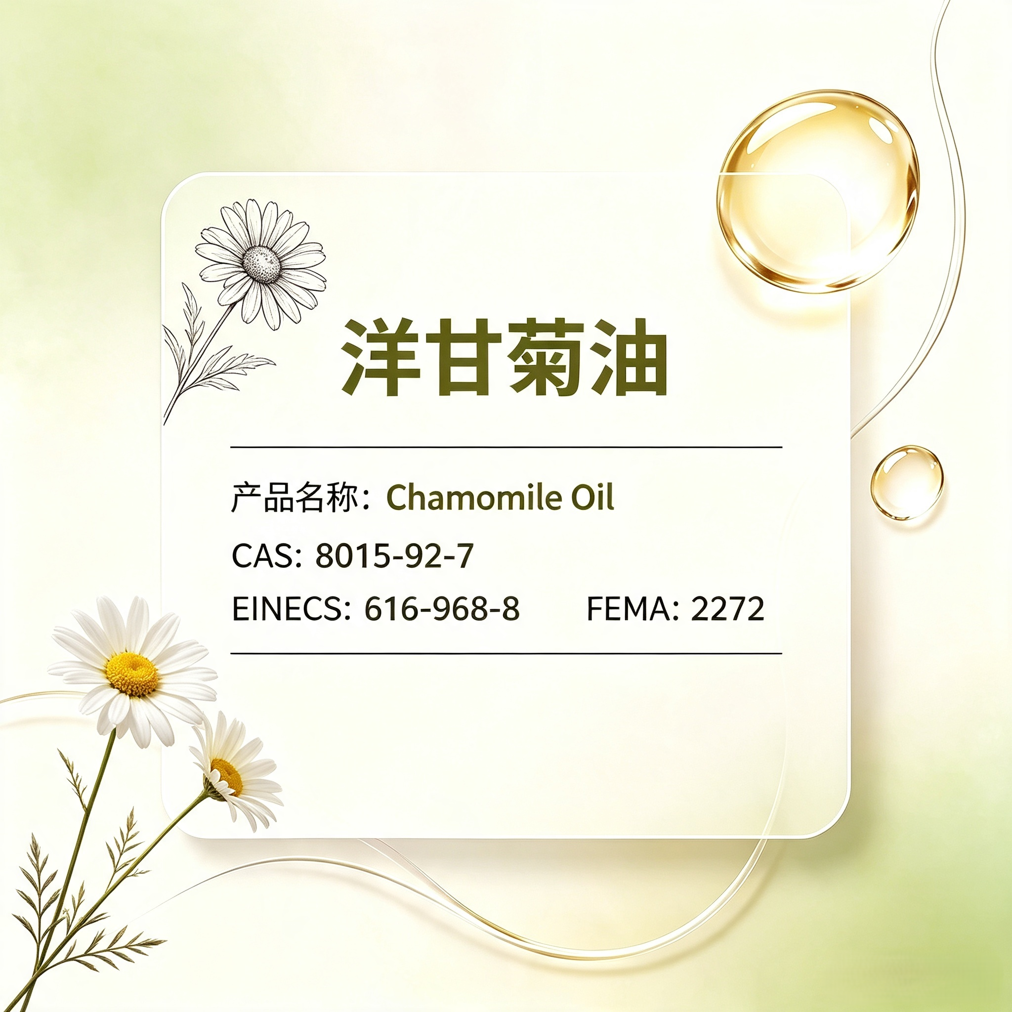 Chamomile Oil