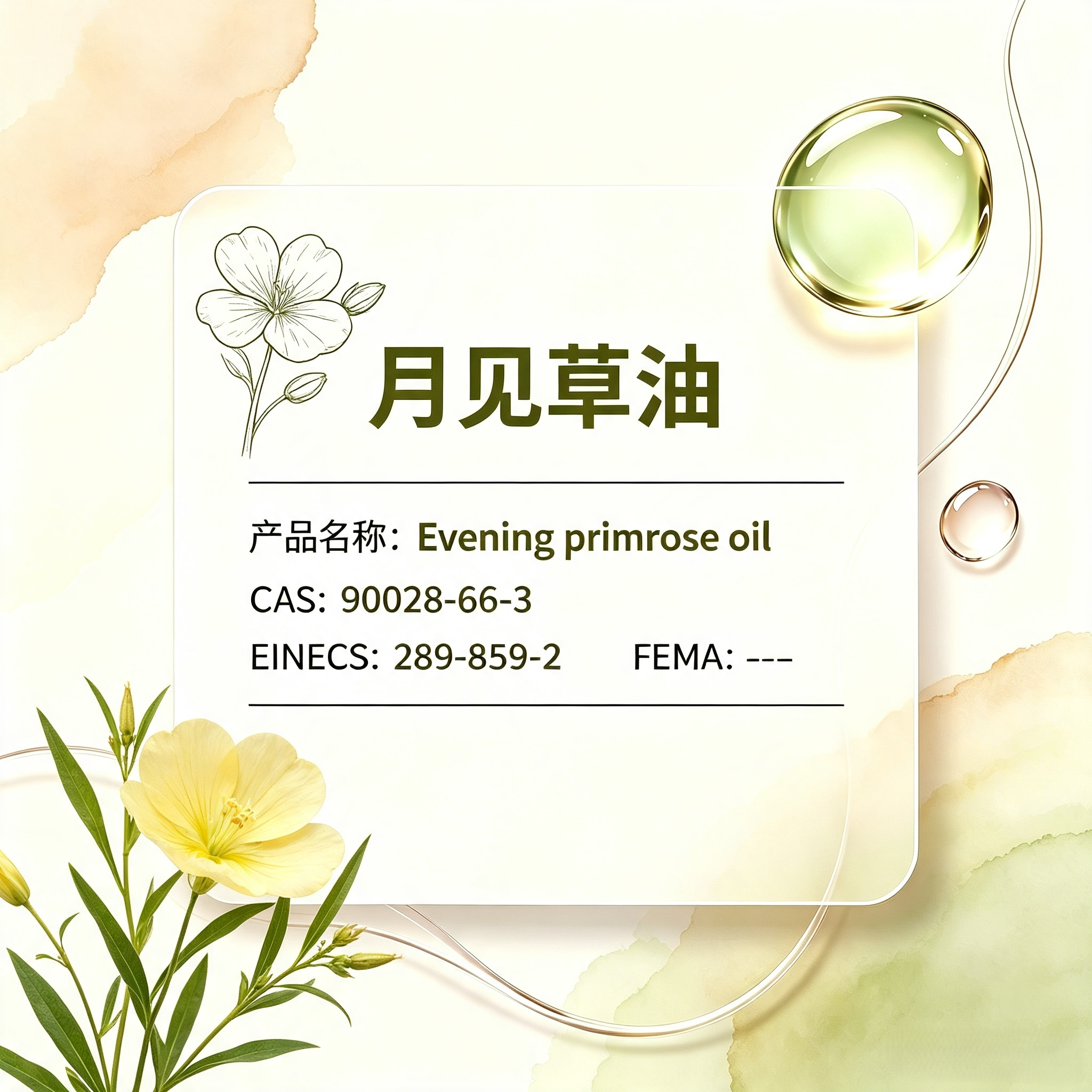 Evening Primrose Oil