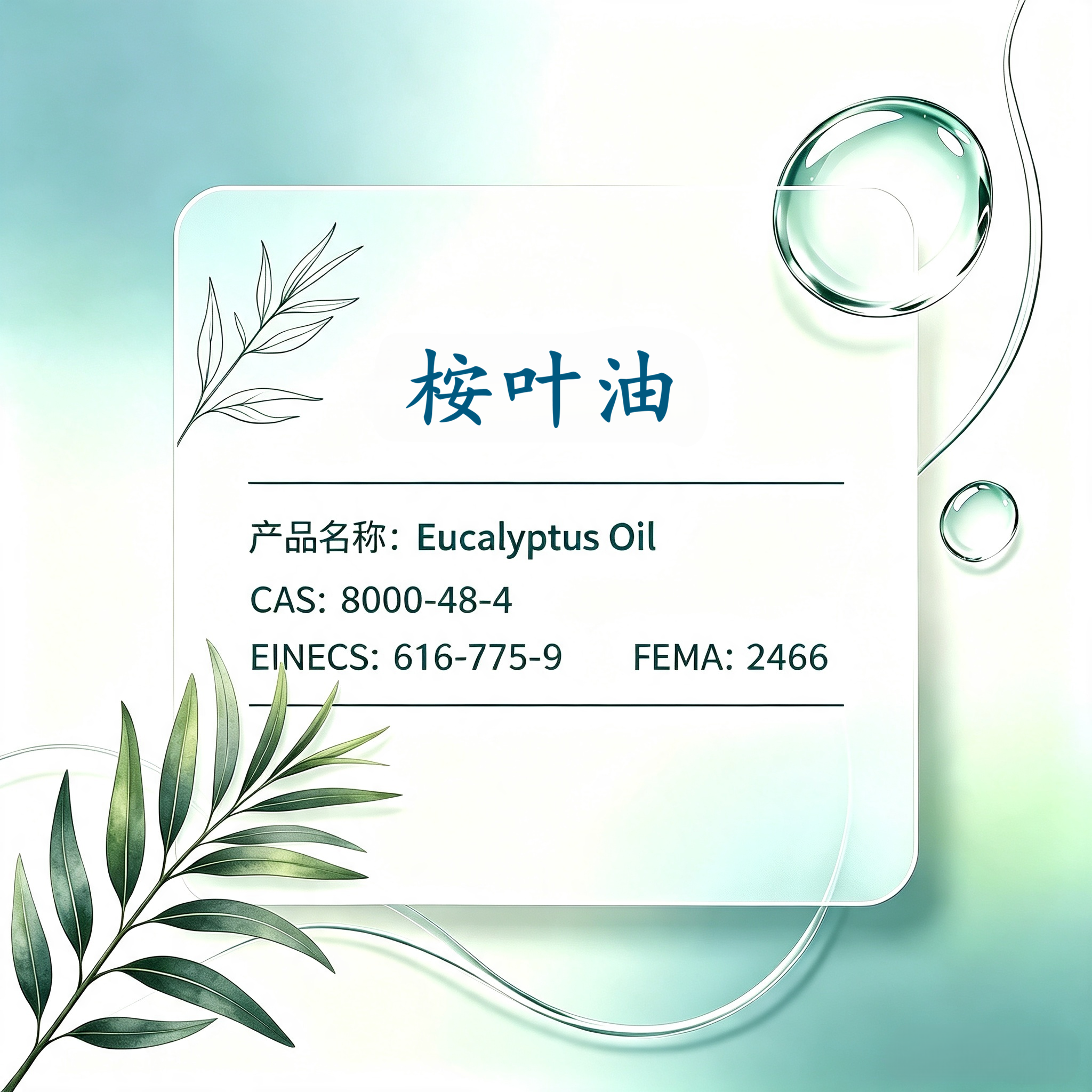 Eucalyptus oil