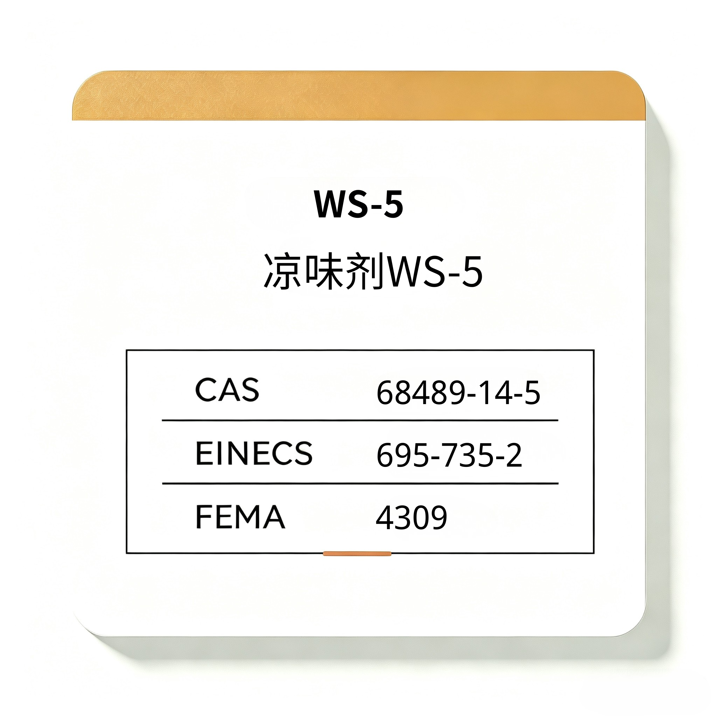 WS-5