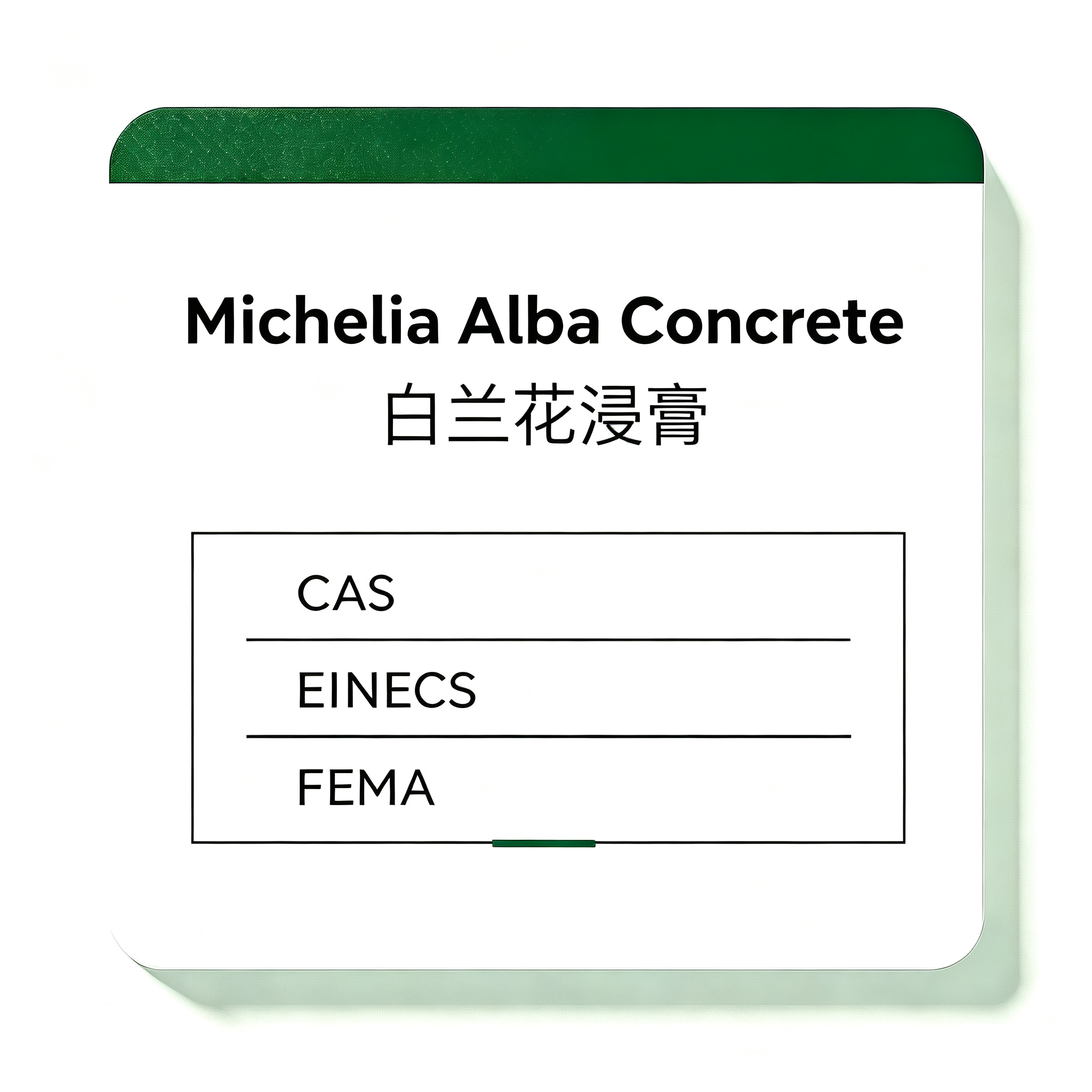 Michelia Alba Concrete